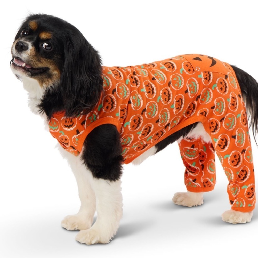 NWT Halloween pumpkin dog pajamas S